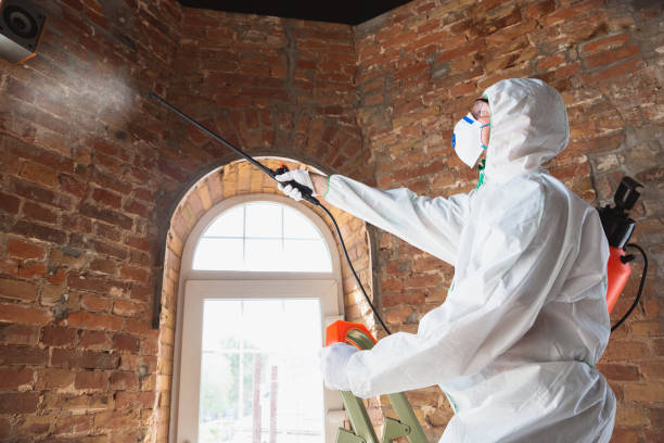 Why You Should Choose Our Mold Remediation Services in Altoona, AL